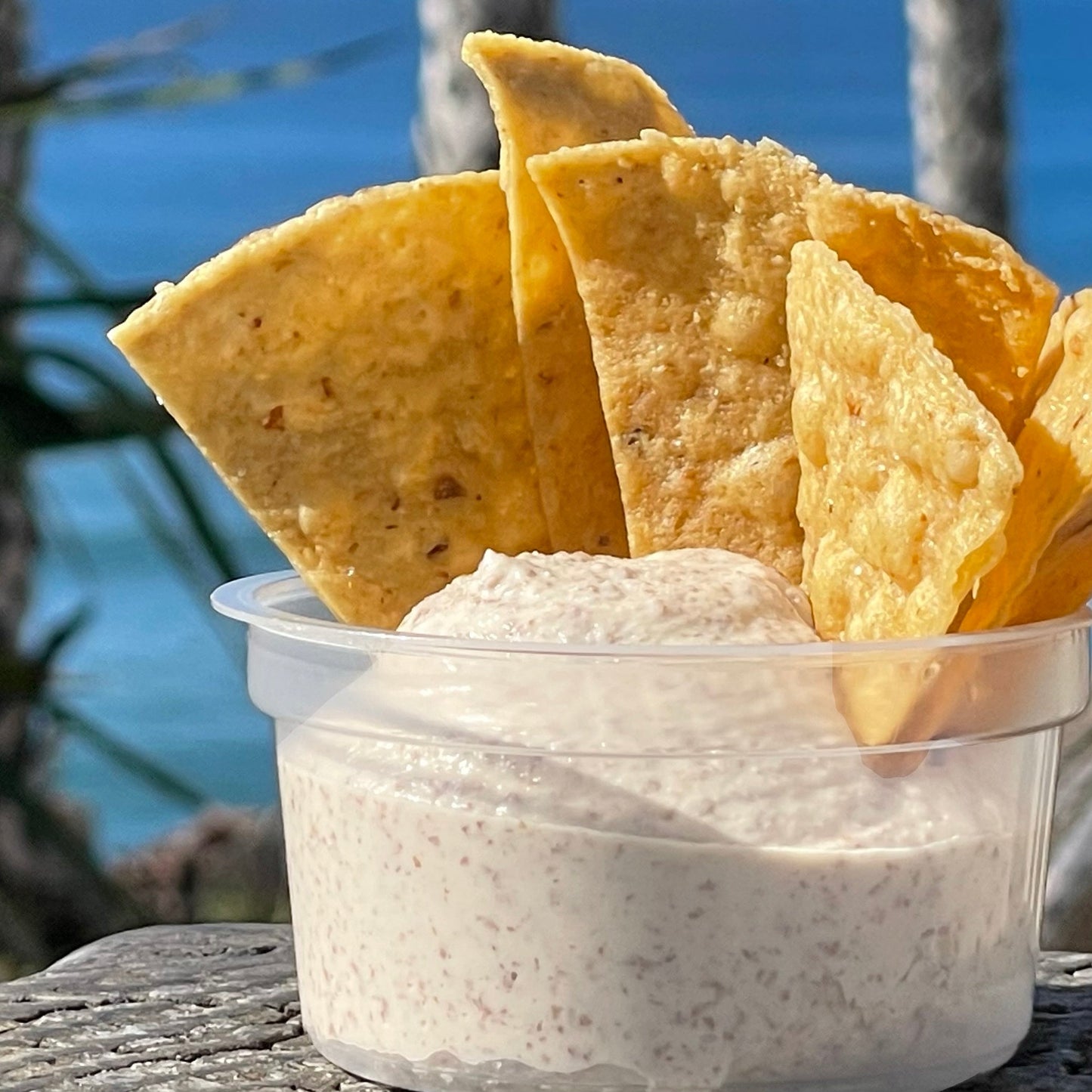 JeeSauce 6 Flavor Variety Pack with FREE SHIPPING!
